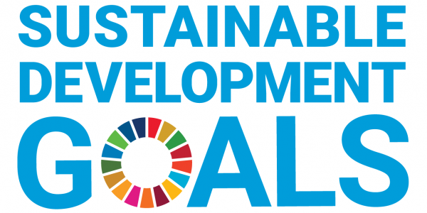 E_SDG_logo_without_UN_emblem_Square_WEB.png